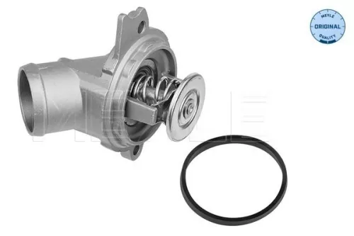 Thermostat, coolant