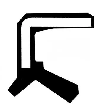 CORTECO Shaft Seal, differential (19034962B)