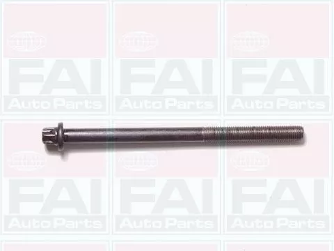 FAI AutoParts Cylinder Head Bolt Set (B1050)