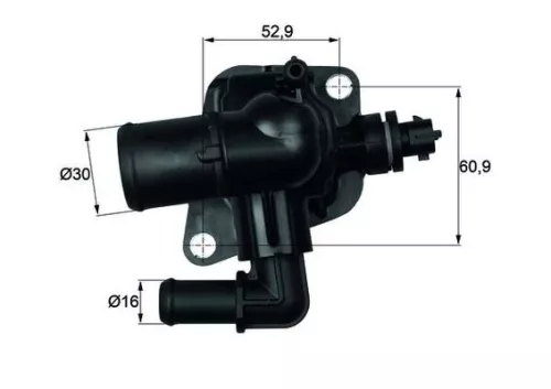 Thermostat, coolant