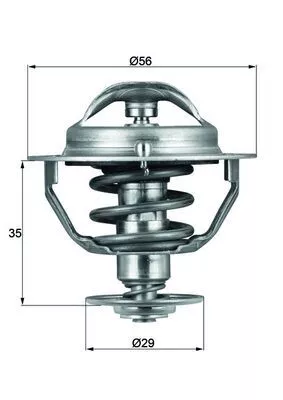 Thermostat, coolant