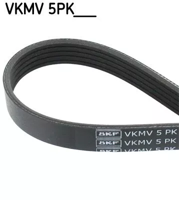 SKF V-Ribbed Belt (VKMV5PK1212)