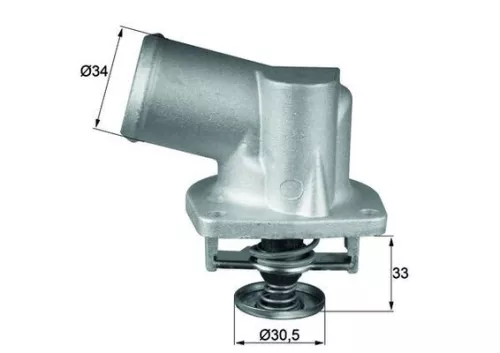 Thermostat, coolant