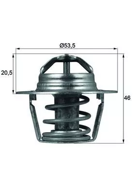 MAHLE Thermostat, coolant (TX9189D)