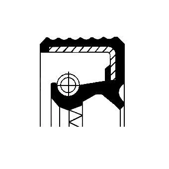 Seal Ring, brake shoe