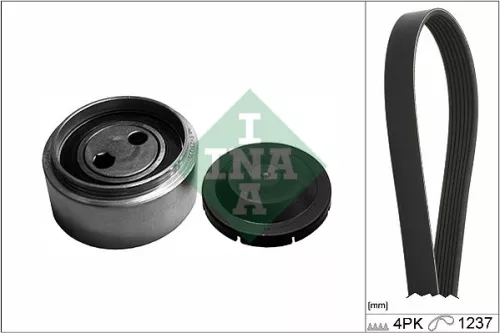Schaeffler INA V-Ribbed Belt Set (529008710)