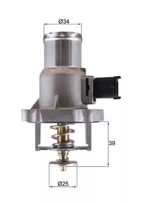 Thermostat, coolant