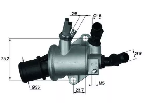 Thermostat, coolant