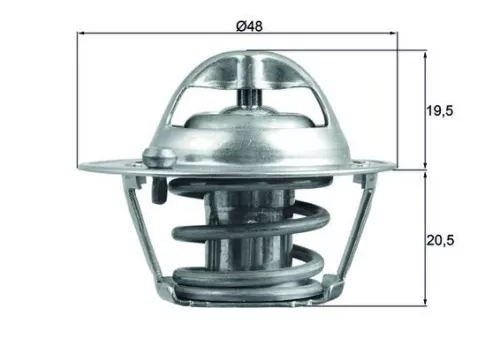Thermostat, coolant