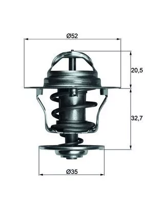 Thermostat, coolant