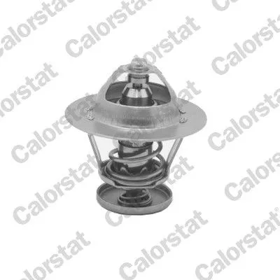 CALORSTAT by Vernet Thermostat, coolant (5077.92J)