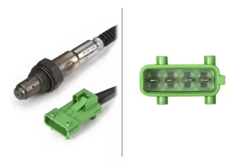 Oxygen Sensor
