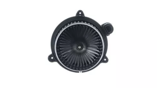 Interior Blower