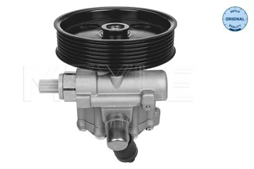 MEYLE Hydraulic Pump, steering (0146310012)