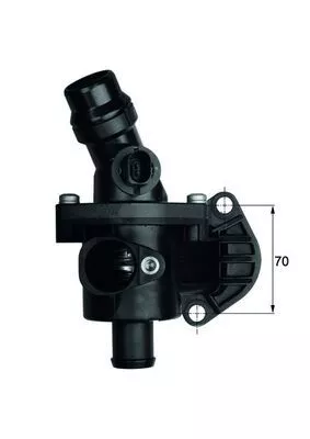 Thermostat, coolant