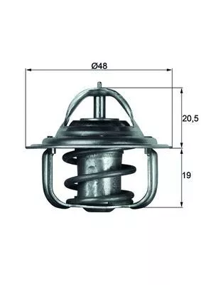 Thermostat, coolant