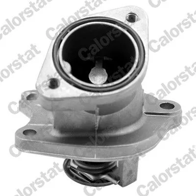 CALORSTAT by Vernet Thermostat, coolant (7286.87J)