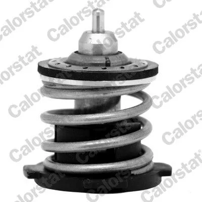 CALORSTAT by Vernet Thermostat, coolant (7274.87)