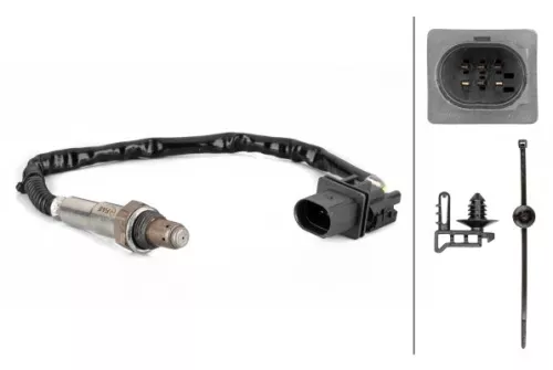 Oxygen Sensor