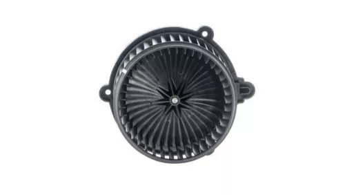 Interior Blower