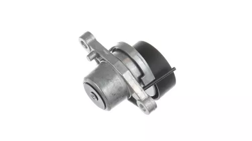 SKF Belt Tensioner, V-ribbed belt (VKM33113)