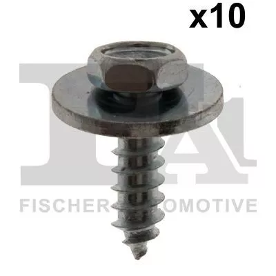 FA1 Screw (10-70001.10)
