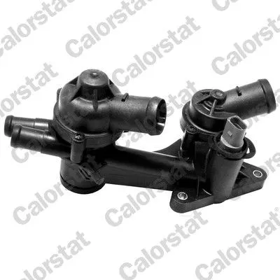 CALORSTAT by Vernet Thermostat, coolant (7168.87J)