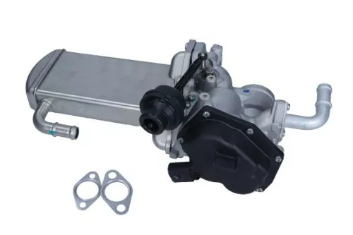 EGR Module