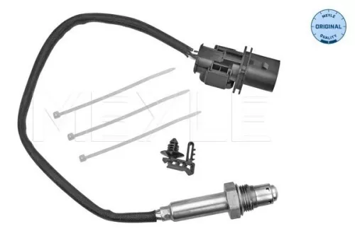 Oxygen Sensor