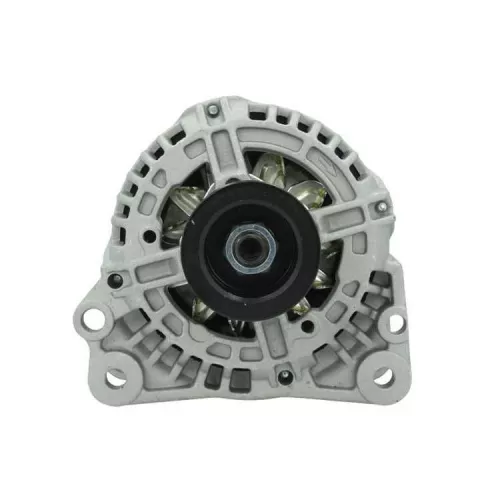 BV PSH Alternator (305.517.090.010)