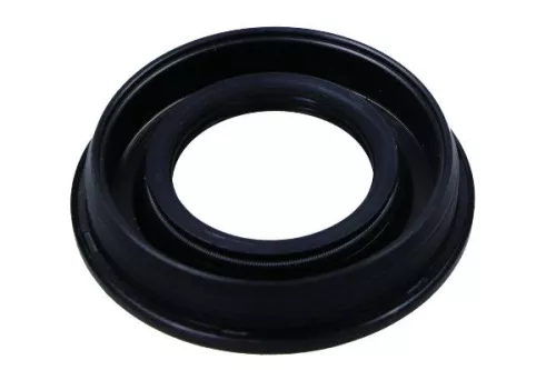 Seal, injector holder
