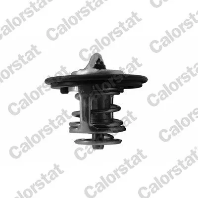 CALORSTAT by Vernet Thermostat, coolant (TH7413.82J)