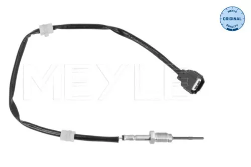 Sensor, exhaust gas temperature