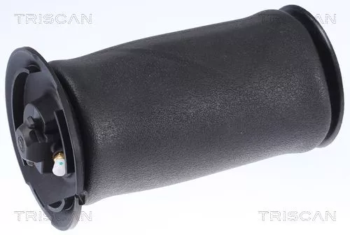 Air Spring, suspension