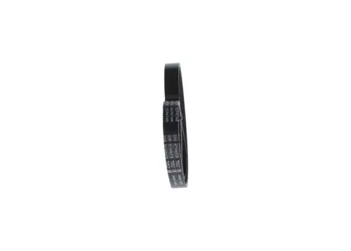 V-Ribbed Belt