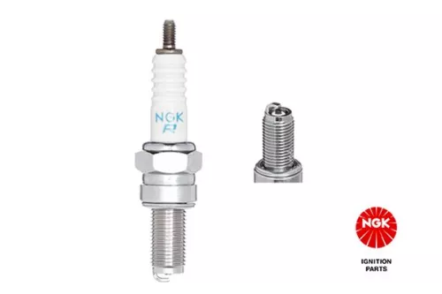 Spark Plug