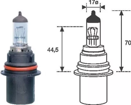 Bulb