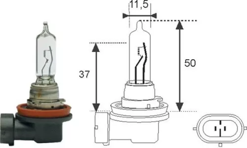 Bulb