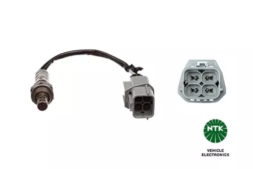Oxygen Sensor
