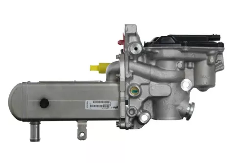 EGR Module