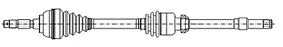 Drive Shaft