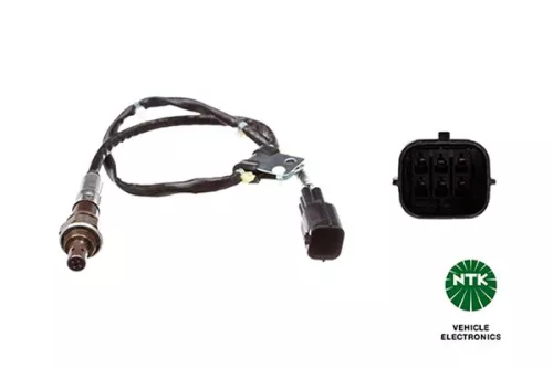 Oxygen Sensor