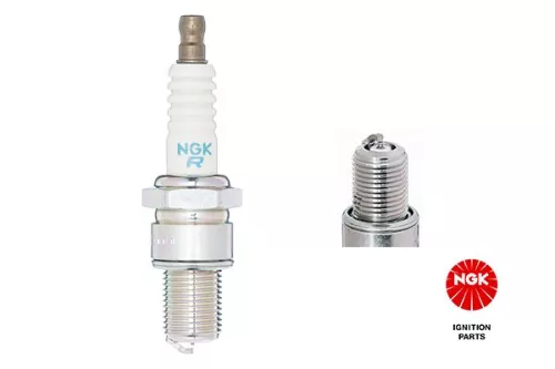 Spark Plug