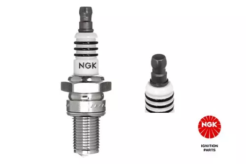 Spark Plug
