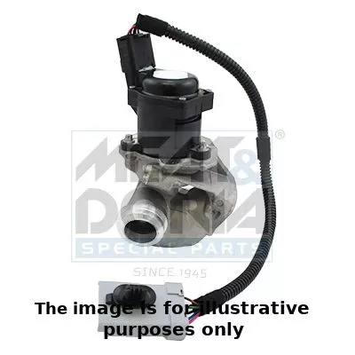 EGR Valve