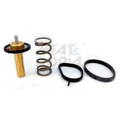 Thermostat, coolant