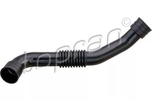 Hose, cylinder head cover ventilation