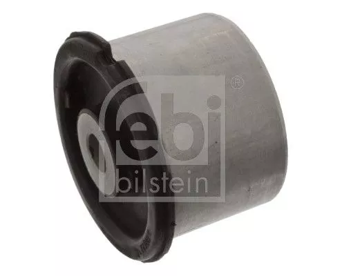 Mounting, control/trailing arm