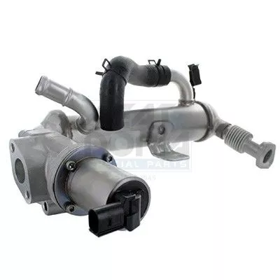 EGR Module