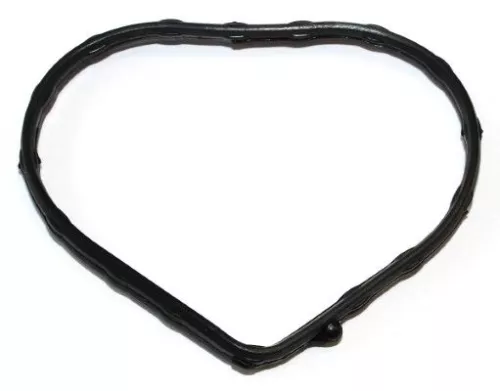 Gasket, thermostat housing